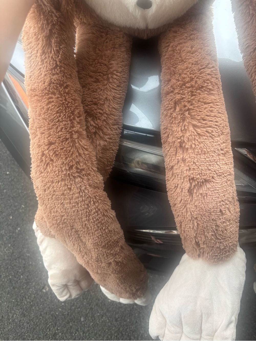 Monkey plush - Picture 2 of 5